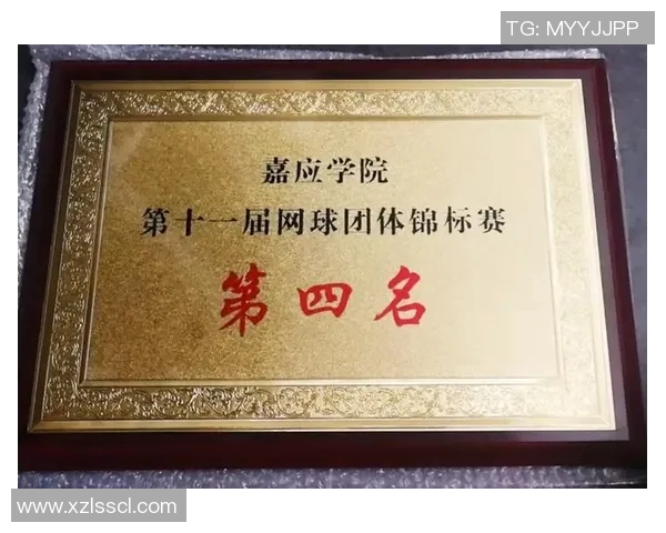 深入探讨北京网球队比赛经验的表现与数据分析结果