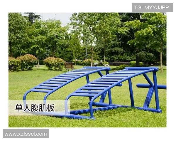 户外健身器材政府申请流程及公益项目方案